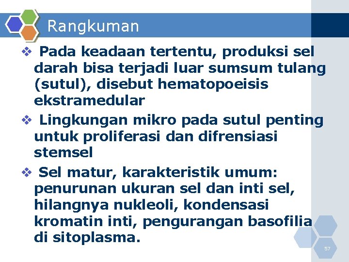 Rangkuman v Pada keadaan tertentu, produksi sel darah bisa terjadi luar sumsum tulang (sutul),