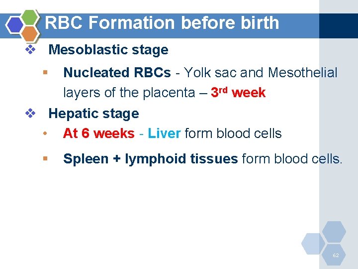 RBC Formation before birth v Mesoblastic stage § Nucleated RBCs - Yolk sac and