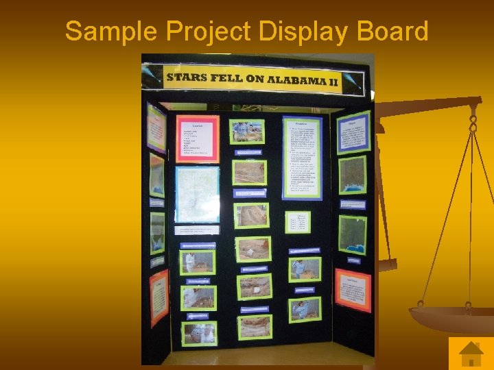 How to do a Science Fair Project By