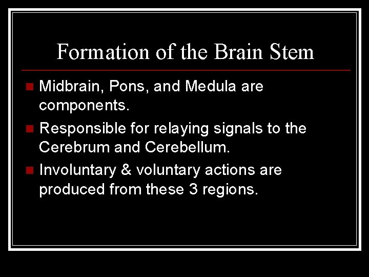 Formation of the Brain Stem Midbrain, Pons, and Medula are components. n Responsible for