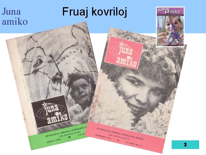 Juna amiko Fruaj kovriloj 3 