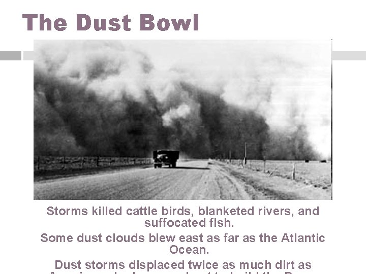 The Dust Bowl Storms killed cattle birds, blanketed rivers, and suffocated fish. Some dust