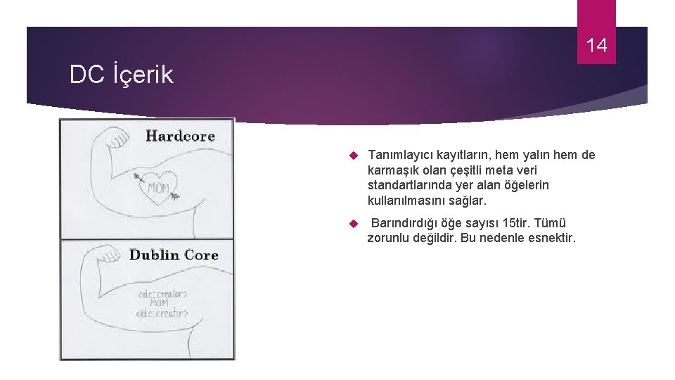 14 DC İçerik Tanımlayıcı kayıtların, hem yalın hem de karmaşık olan çeşitli meta veri