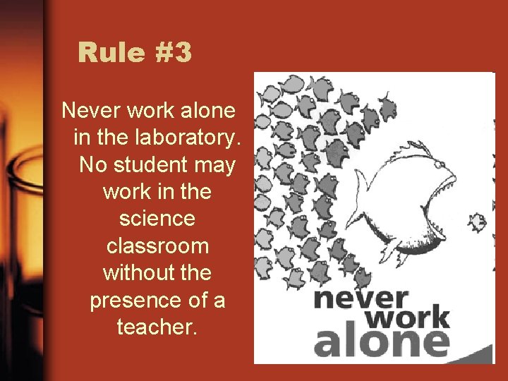 Rule #3 Never work alone in the laboratory. No student may work in the