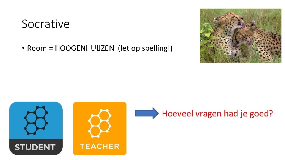 Socrative • Room = HOOGENHUIJZEN (let op spelling!) Hoeveel vragen had je goed? 