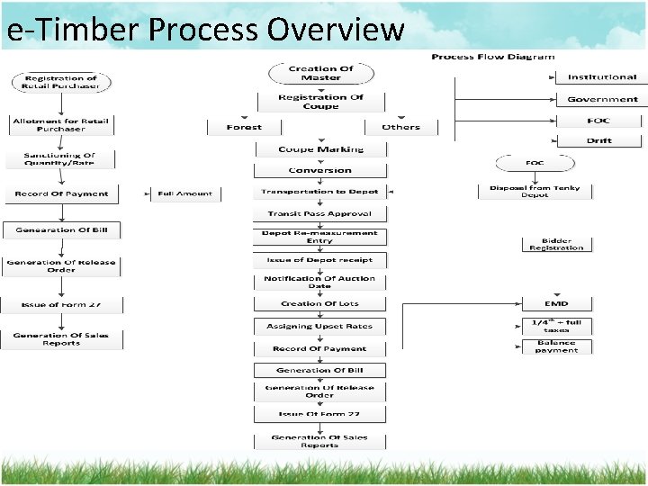 e-Timber Process Overview 