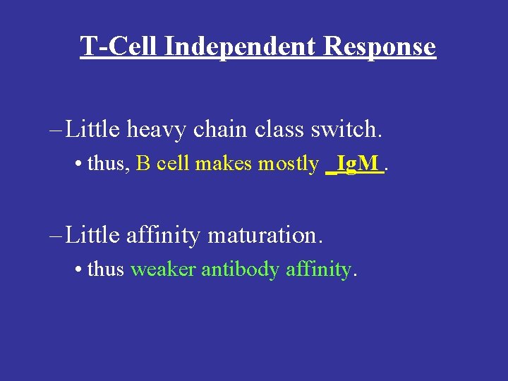 T-Cell Independent Response – Little heavy chain class switch. • thus, B cell makes
