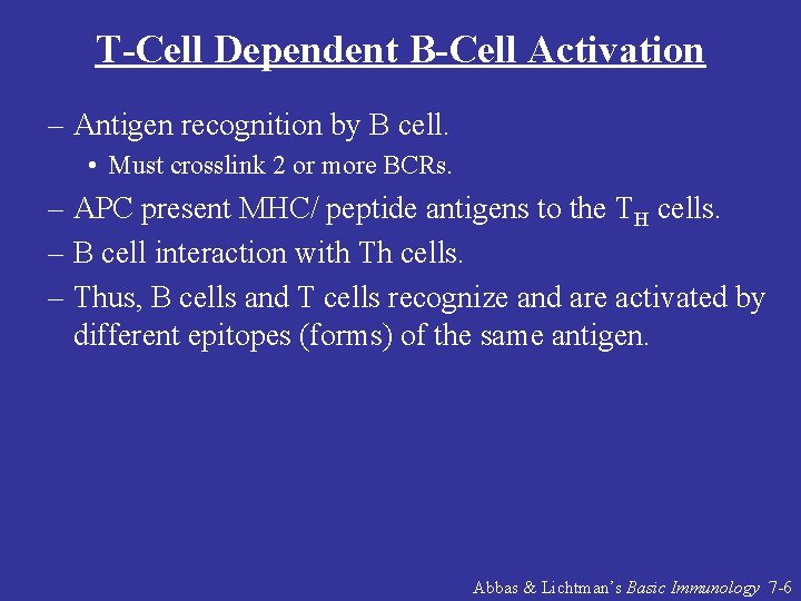 T-Cell Dependent B-Cell Activation – Antigen recognition by B cell. • Must crosslink 2