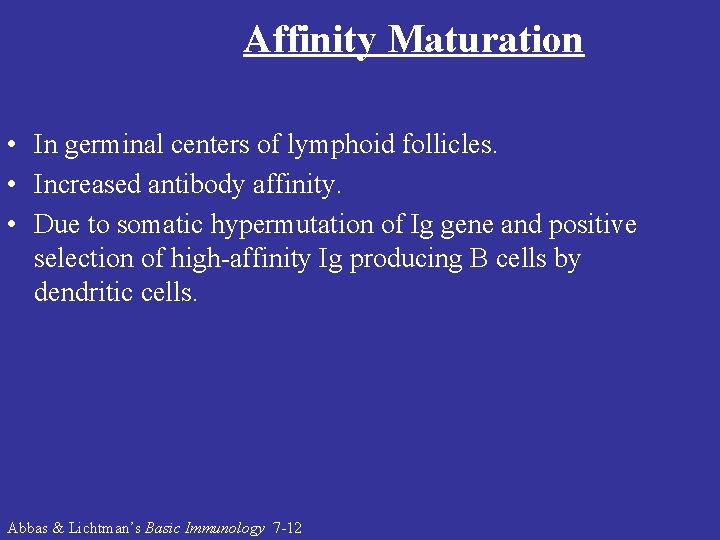 Affinity Maturation • In germinal centers of lymphoid follicles. • Increased antibody affinity. •