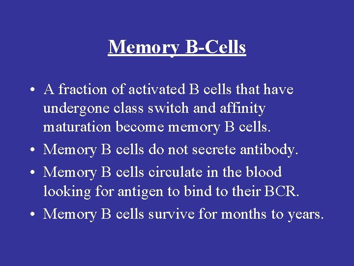 Memory B-Cells • A fraction of activated B cells that have undergone class switch