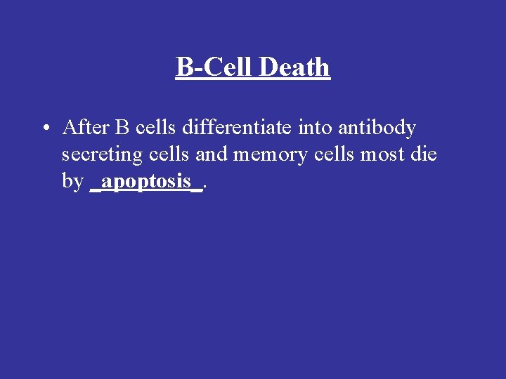 B-Cell Death • After B cells differentiate into antibody secreting cells and memory cells