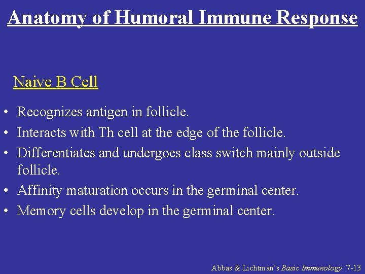 Anatomy of Humoral Immune Response Naive B Cell • Recognizes antigen in follicle. •