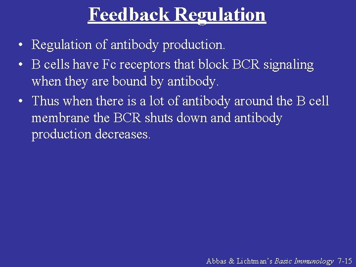 Feedback Regulation • Regulation of antibody production. • B cells have Fc receptors that