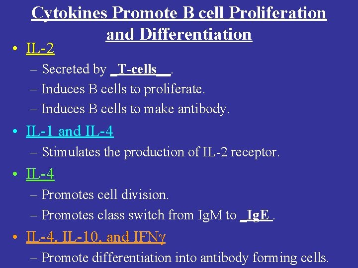 Cytokines Promote B cell Proliferation and Differentiation • IL-2 – Secreted by _T-cells__. –