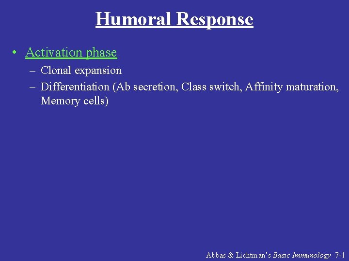 Humoral Response • Activation phase – Clonal expansion – Differentiation (Ab secretion, Class switch,