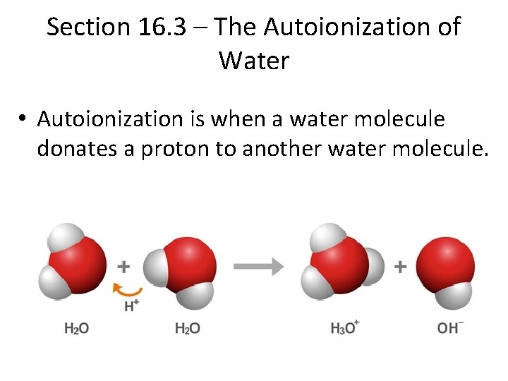 Section 16. 3 – The Autoionization of Water • Autoionization is when a water