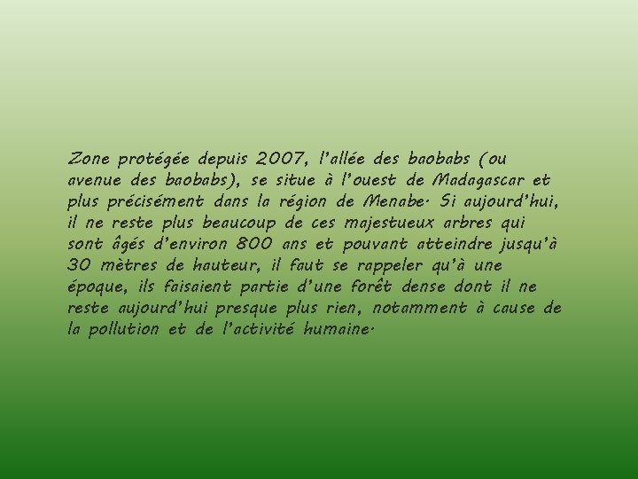 Zone protégée depuis 2007, l’allée des baobabs (ou avenue des baobabs), se situe à