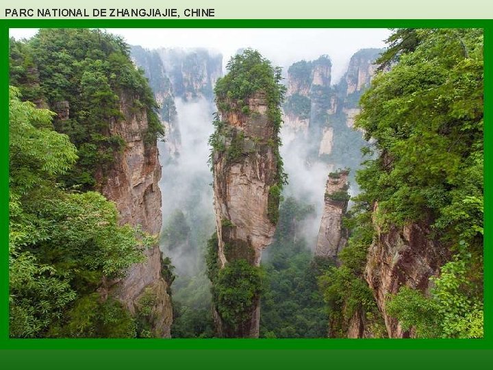 PARC NATIONAL DE ZHANGJIAJIE, CHINE 