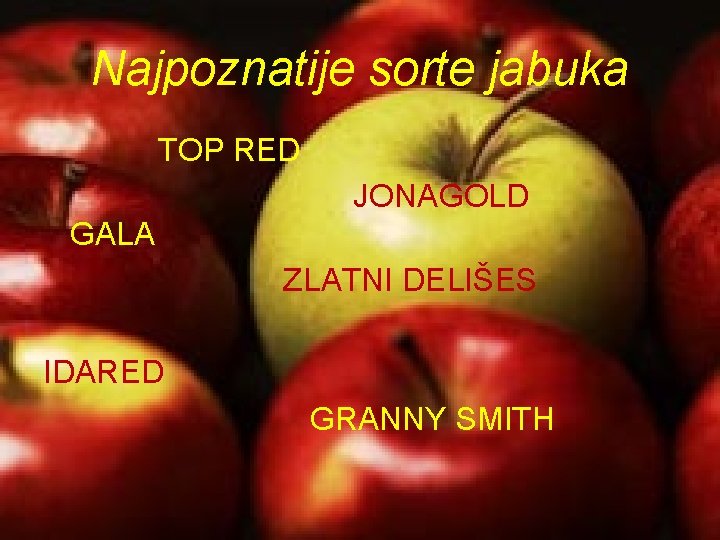 Najpoznatije sorte jabuka TOP RED JONAGOLD GALA ZLATNI DELIŠES IDARED GRANNY SMITH 