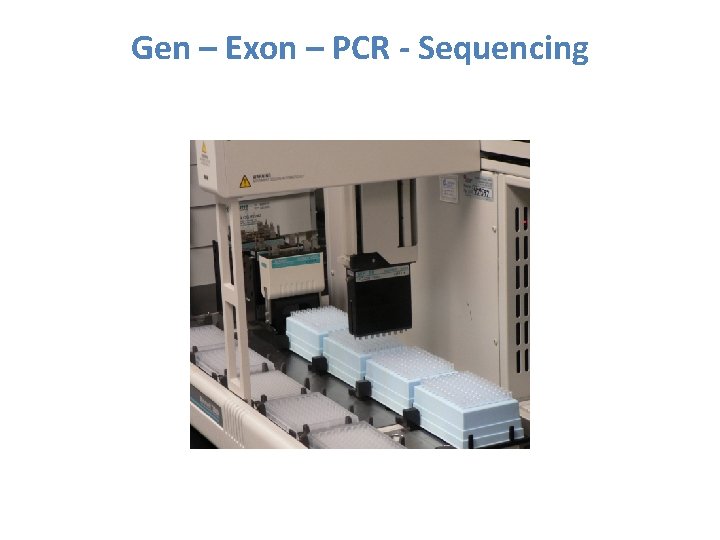 Gen – Exon – PCR - Sequencing 