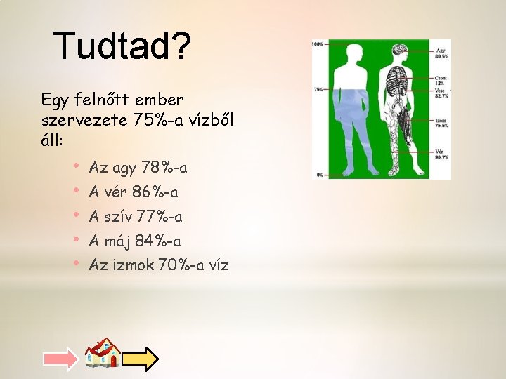 Tudtad? Egy felnőtt ember szervezete 75%-a vízből áll: • • • Az agy 78%-a