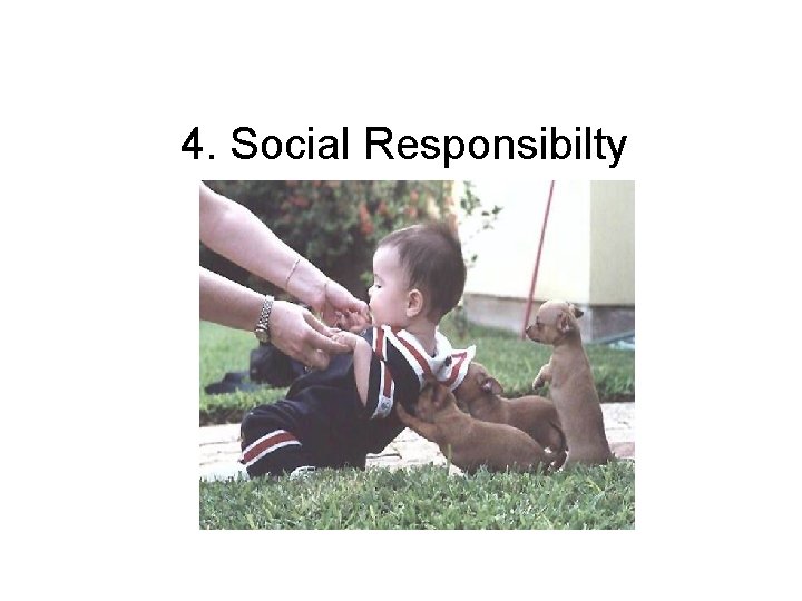 4. Social Responsibilty 