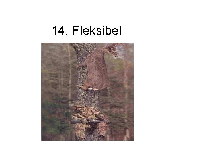 14. Fleksibel 