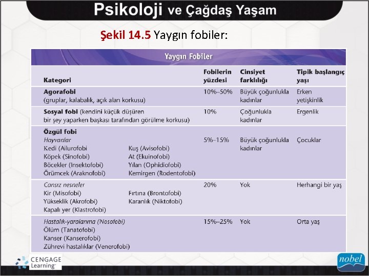 Şekil 14. 5 Yaygın fobiler: 