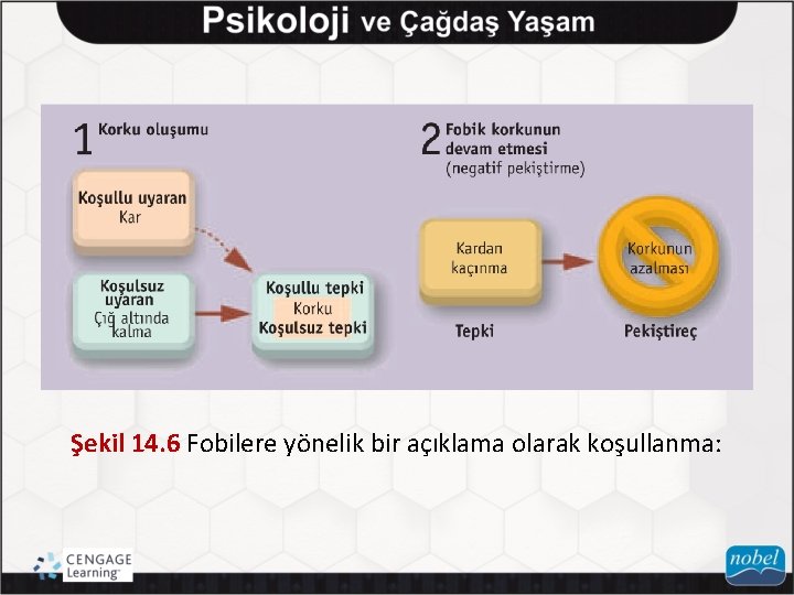 Şekil 14. 6 Fobilere yönelik bir açıklama olarak koşullanma: 