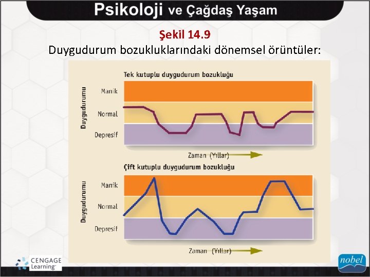 Şekil 14. 9 Duygudurum bozukluklarındaki dönemsel örüntüler: 