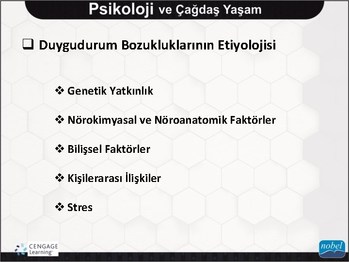 q Duygudurum Bozukluklarının Etiyolojisi v Genetik Yatkınlık v Nörokimyasal ve Nöroanatomik Faktörler v Bilişsel