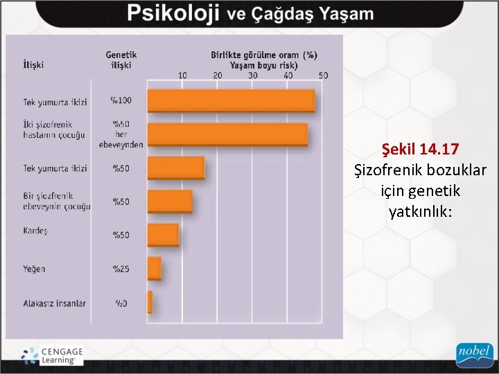 Şekil 14. 17 Şizofrenik bozuklar için genetik yatkınlık: 