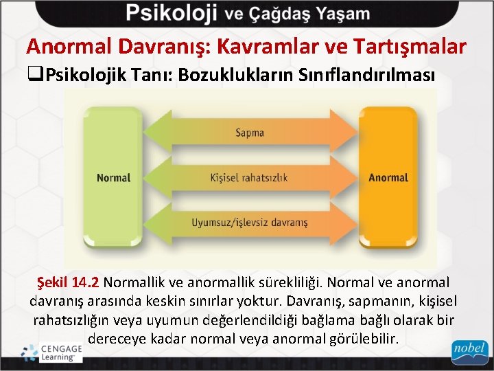 Anormal Davranış: Kavramlar ve Tartışmalar q. Psikolojik Tanı: Bozuklukların Sınıflandırılması Şekil 14. 2 Normallik