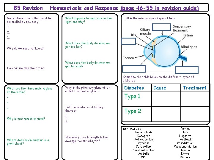 B 5 Revision – Homeostasis and Response (page 46 -55 in revision guide) Name