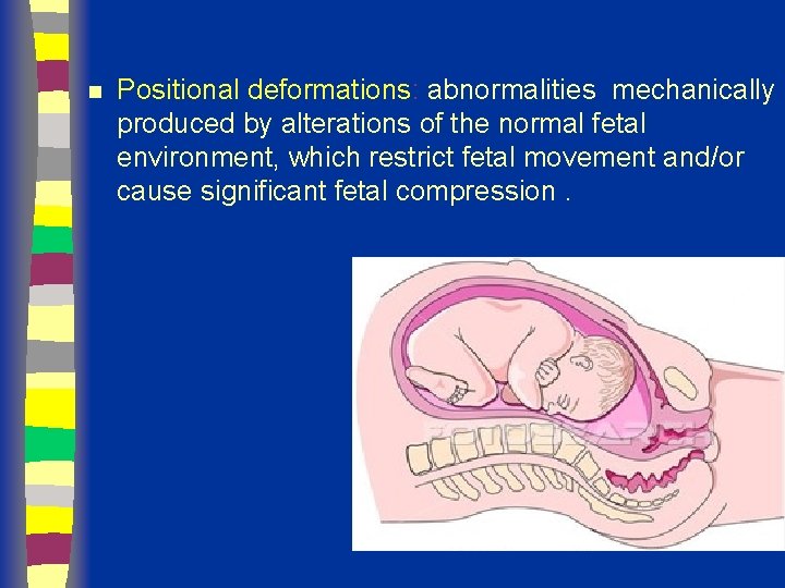 n Positional deformations: abnormalities mechanically produced by alterations of the normal fetal environment, which