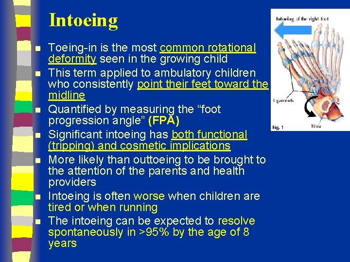 Intoeing n n n n Toeing-in is the most common rotational deformity seen in
