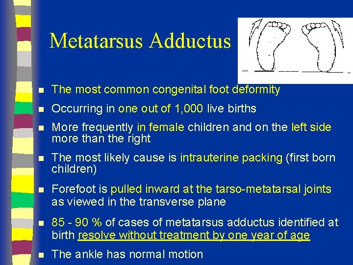 Metatarsus Adductus n The most common congenital foot deformity n Occurring in one out