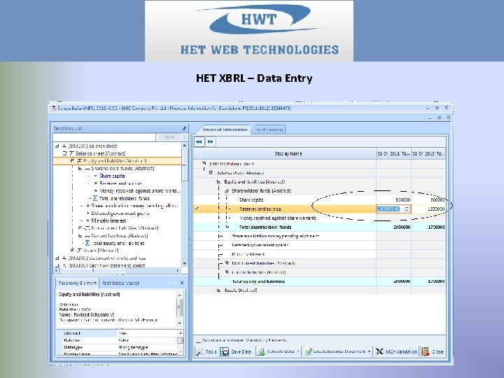 HET XBRL – Data Entry 