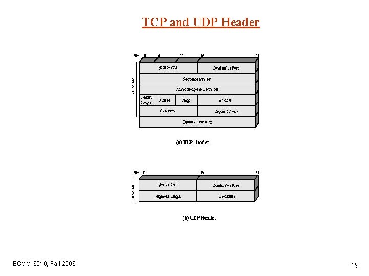 TCP and UDP Header ECMM 6010, Fall 2006 19 