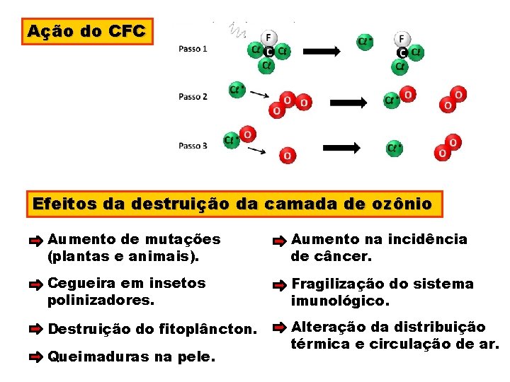 Ação do CFC Efeitos da destruição da camada de ozônio Aumento de mutações (plantas