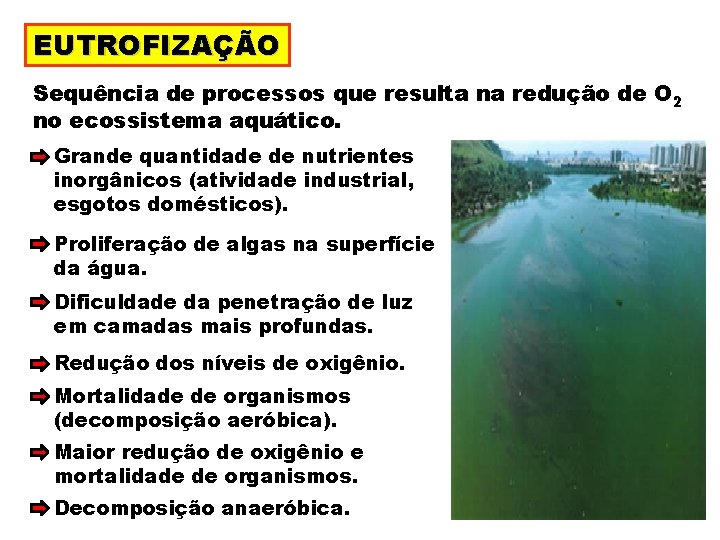EUTROFIZAÇÃO Sequência de processos que resulta na redução de O 2 no ecossistema aquático.