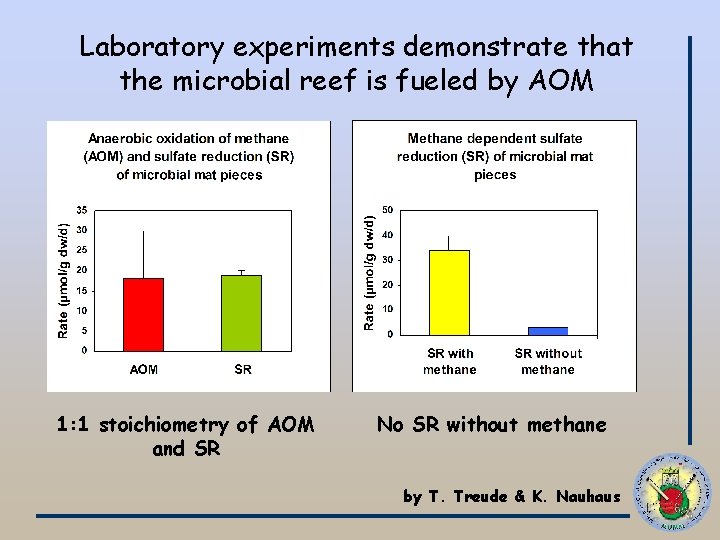 Laboratory experiments demonstrate that the microbial reef is fueled by AOM 1: 1 stoichiometry