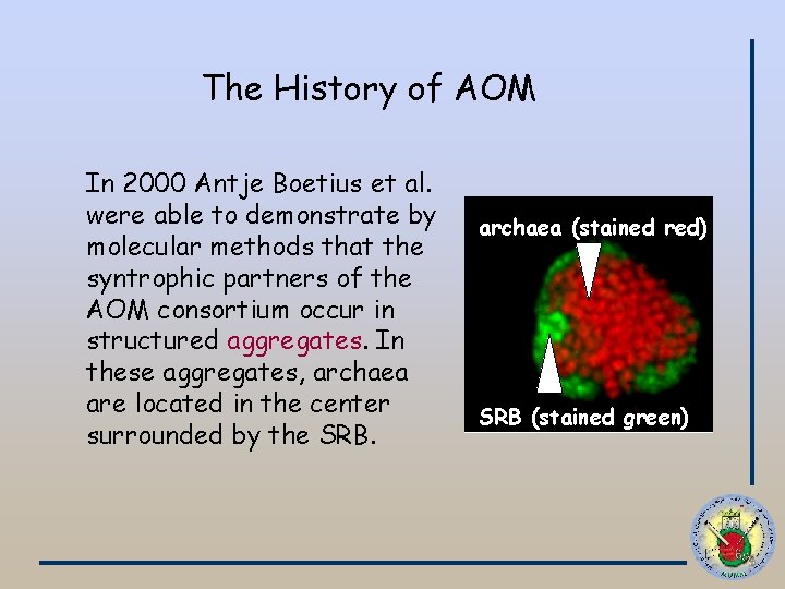 The History of AOM In 2000 Antje Boetius et al. were able to demonstrate