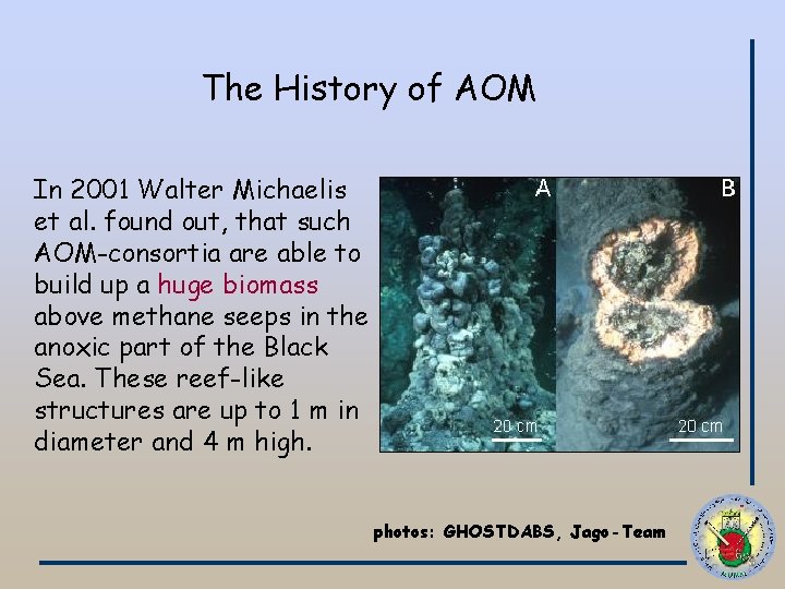 The History of AOM In 2001 Walter Michaelis et al. found out, that such