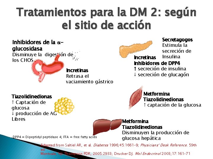 Tratamientos para la DM 2: según el sitio de acción Inhibidores de la glucosidasa