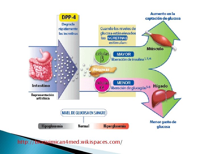 http: //bioquimican 4 med. wikispaces. com/ 