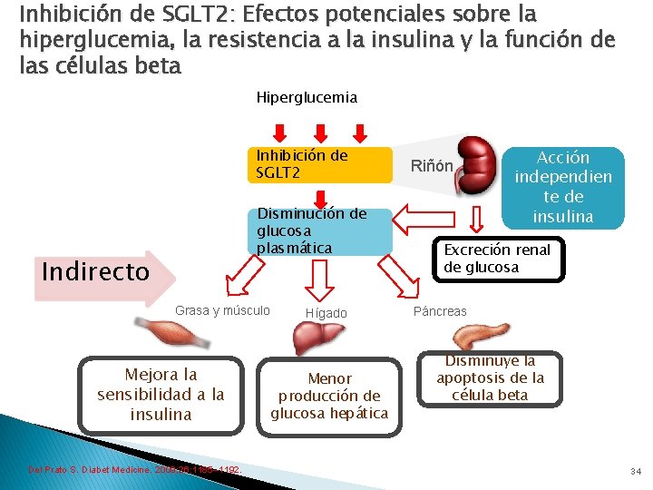 Inhibición de SGLT 2: Efectos potenciales sobre la hiperglucemia, la resistencia a la insulina