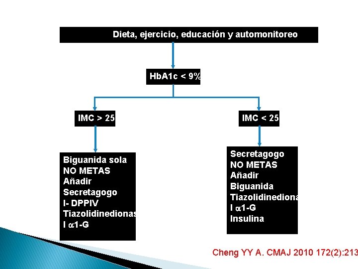 Dieta, ejercicio, educación y automonitoreo Hb. A 1 c < 9% IMC > 25