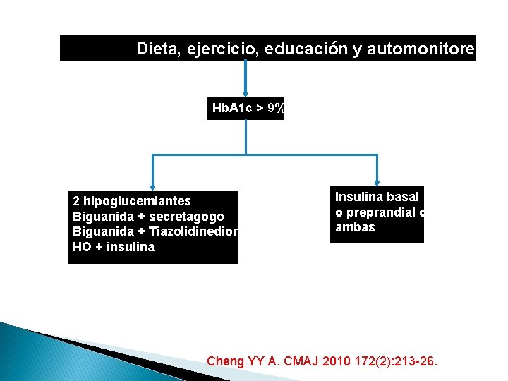 Dieta, ejercicio, educación y automonitoreo Hb. A 1 c > 9% 2 hipoglucemiantes Biguanida