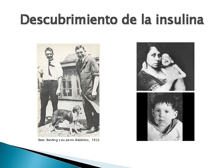 Descubrimiento de la insulina Best, Banting y su perro diabético, 1922 